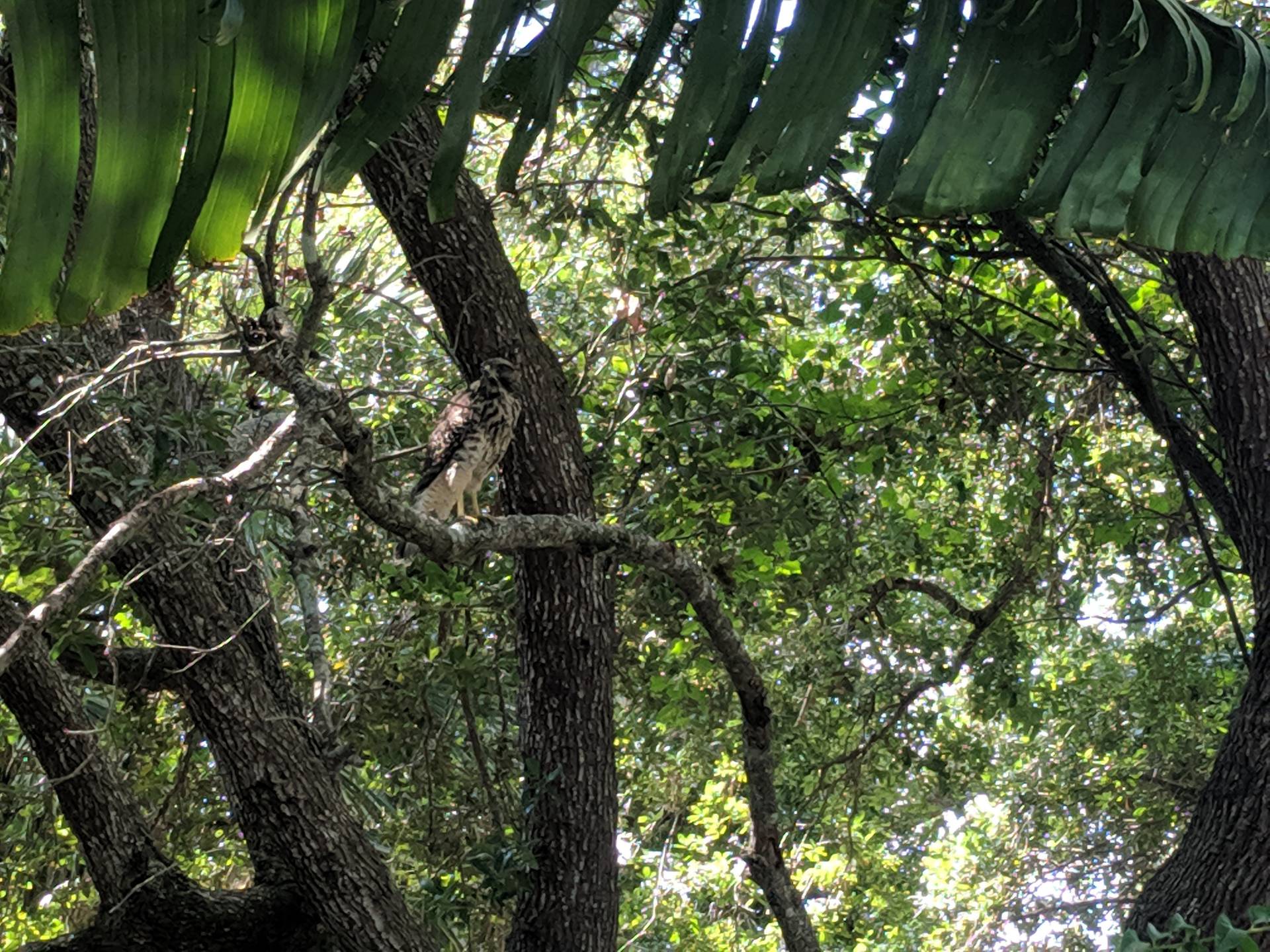 December Agenda Holiday Potluck Sebastian Property Owners Association