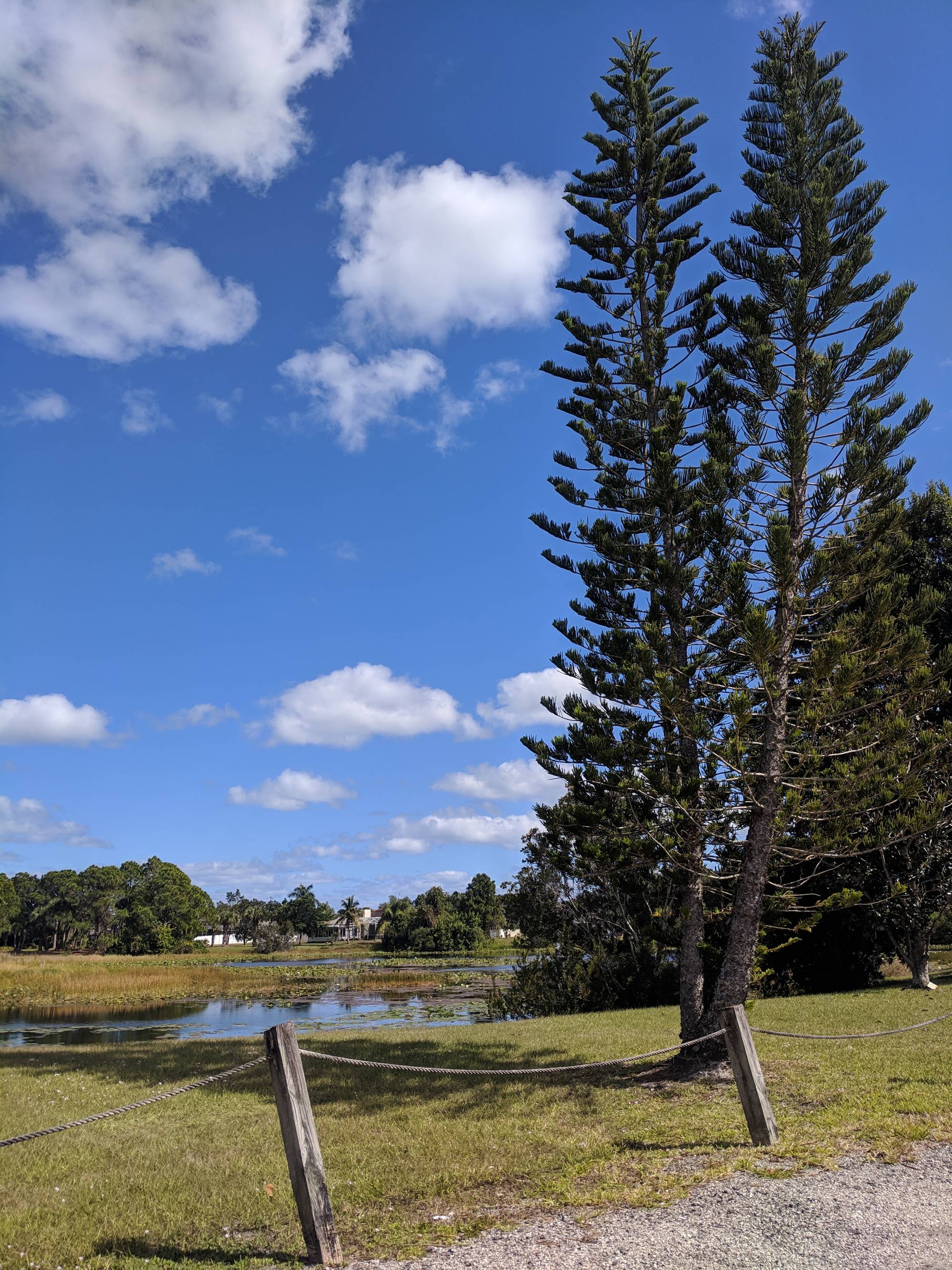 Sponsors Sebastian Property Owners Association